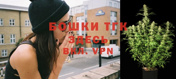 метадон Няндома